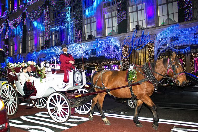 Magical Evening Horse-Drawn Carriage through NYC (65 min) - Warm blankets, photos, and the horse itself