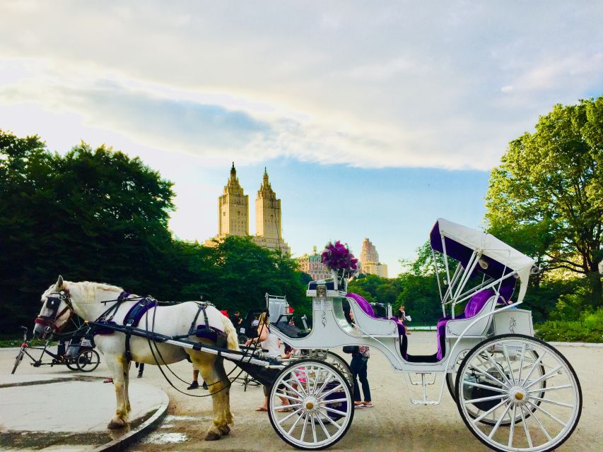 Manhattan: VIP Private Horse Carriage Ride in Central Park - Key points at a glance
