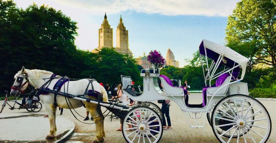 Manhattan: VIP Private Horse Carriage Ride in Central Park - Bethesda Terrace gives the hour a grand opening