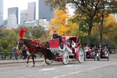 VIP Private Horse Carriage Ride in Central Park
