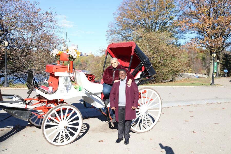 Manhattan: VIP Private Horse Carriage Ride in Central Park - Bow Bridge and the park’s classic views