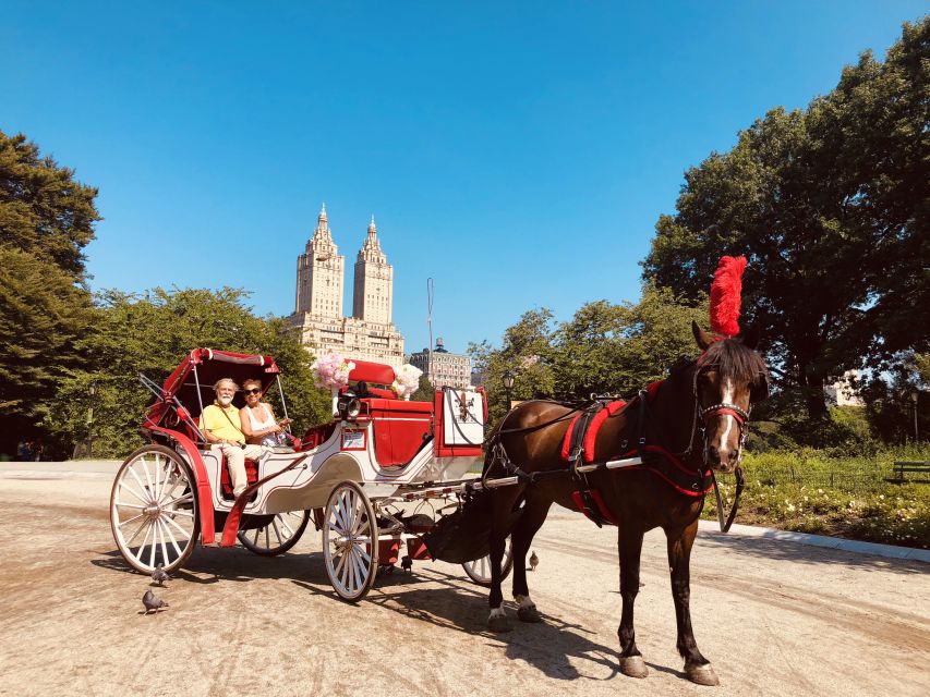 Manhattan: VIP Private Horse Carriage Ride in Central Park - Strawberry Fields and Sheep Meadow add contrast