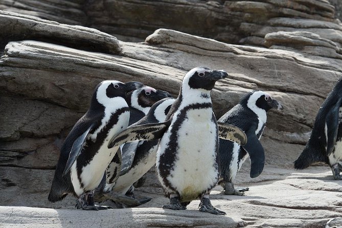 New York Aquarium Admission - The New York Aquarium in Coney Island