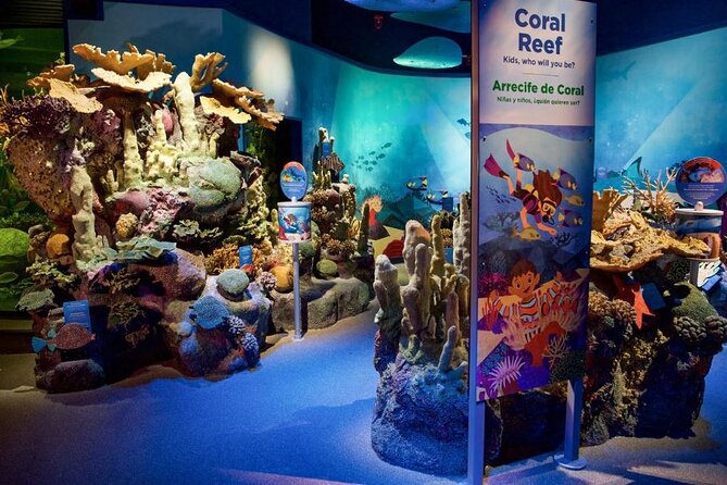 New York Aquarium Admission - Why the sea lion presentation matters
