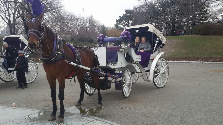 New York: Carriage Ride in Central Park - Timing, cancellation, and planning tips