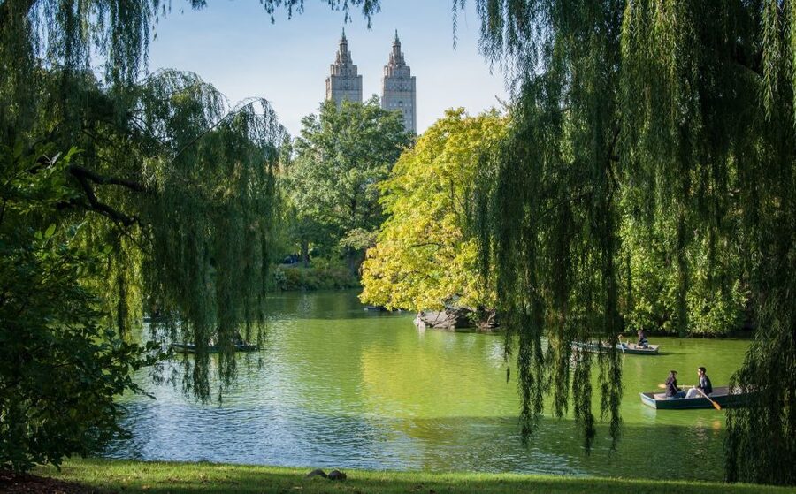 New York: Carriage Ride in Central Park - Strawberry Fields and the movie locations