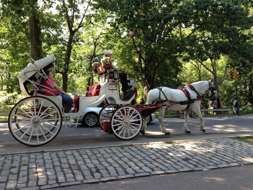 New York: Carriage Ride in Central Park - The driver can make or break the hour
