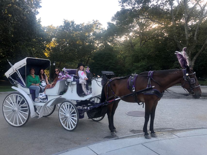 New York: Carriage Ride in Central Park - Winter rides, blankets, and comfort