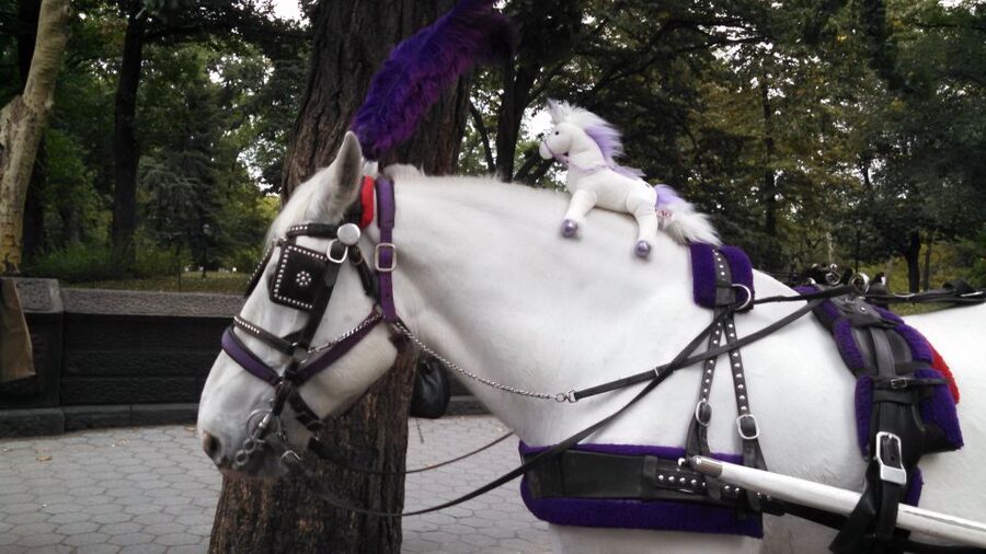 New York: Carriage Ride in Central Park - Who will get the most from this ride