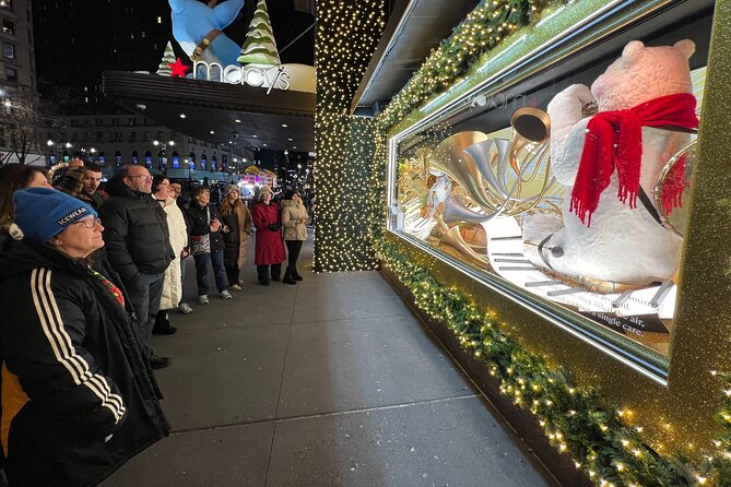 New York Christmas Holiday Lights Walking Tour - The walking, group size, and weather question