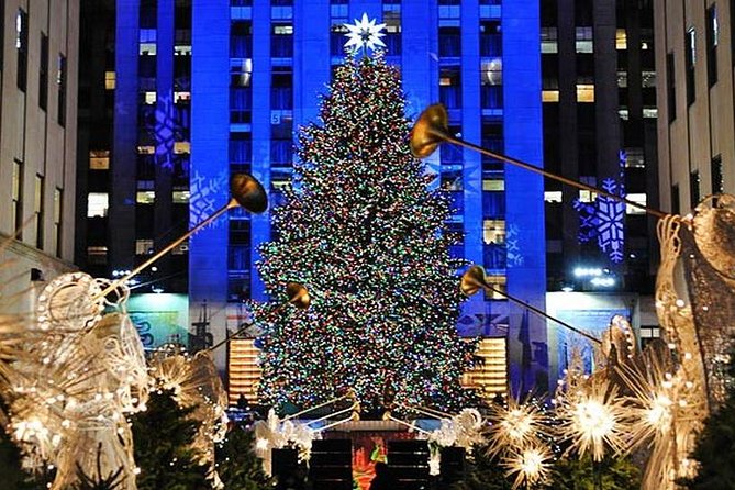New York Christmas Holiday Small-Group Walking Tour - Key points to know before you book