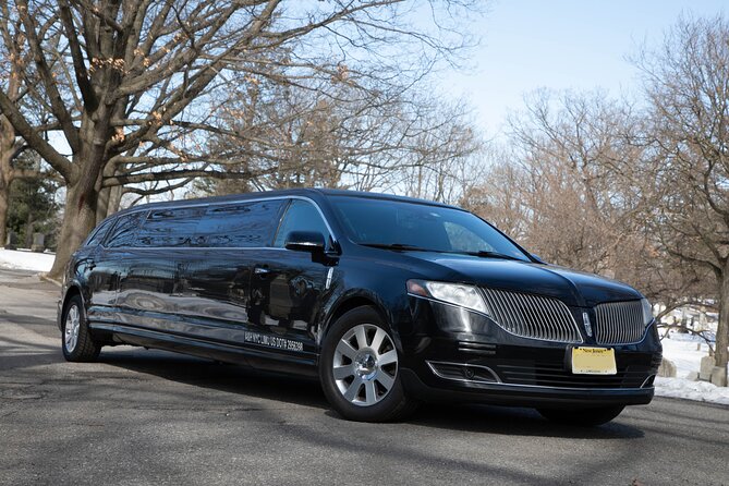 New York City Airport Arrival Transfer by Limo LGA JFK EWR - From airport baggage claim to the waiting limo