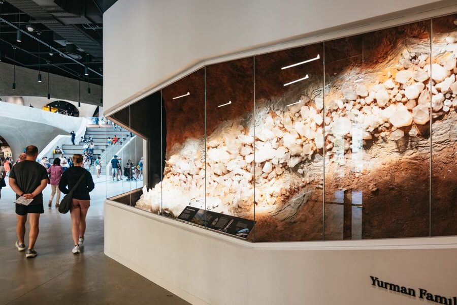 New York City: American Museum of Natural History Ticket - Who will get the most from this visit