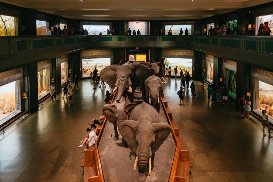 New York City: American Museum of Natural History Ticket - The Rose Center turns space into a visual show