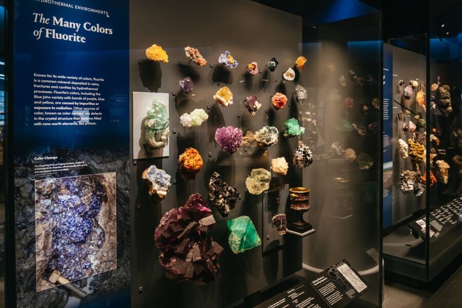New York City: American Museum of Natural History Ticket - Choose ticketed exhibitions with care