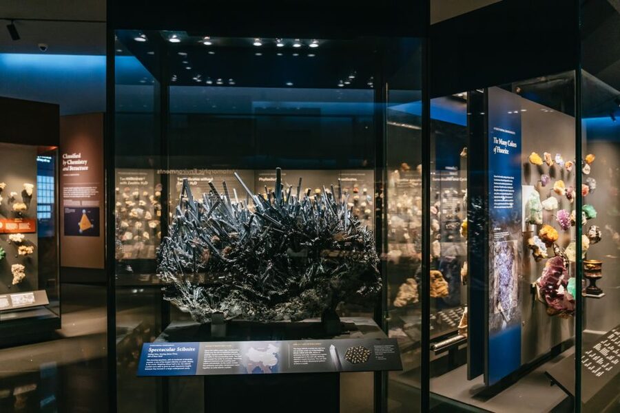 New York City: American Museum of Natural History Ticket - A practical route for families and first-time visitors