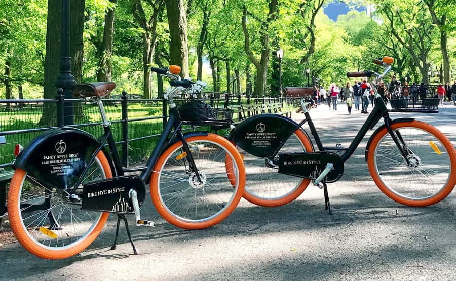 New York City: Best of Central Park Bike Tour - Starting at Seventh Avenue and 56th Street