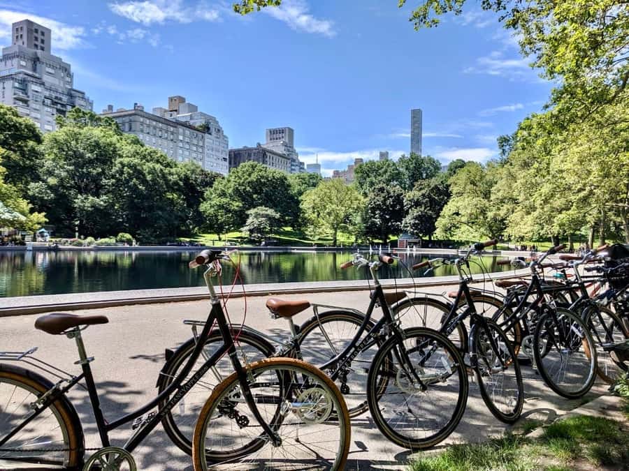 New York City: Best of Central Park Bike Tour - What the two-hour timing really means
