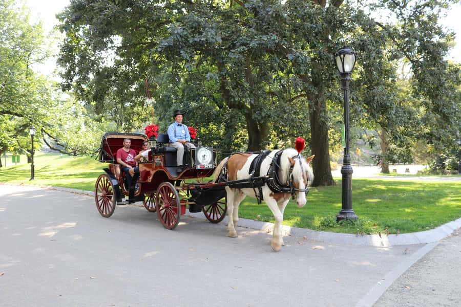 New York City: Central Park Horse Carriage 25-min Ride - Key points to know before you book
