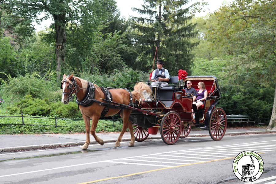 New York City: Central Park Horse Carriage 25-min Ride - Why a Central Park carriage ride still has appeal