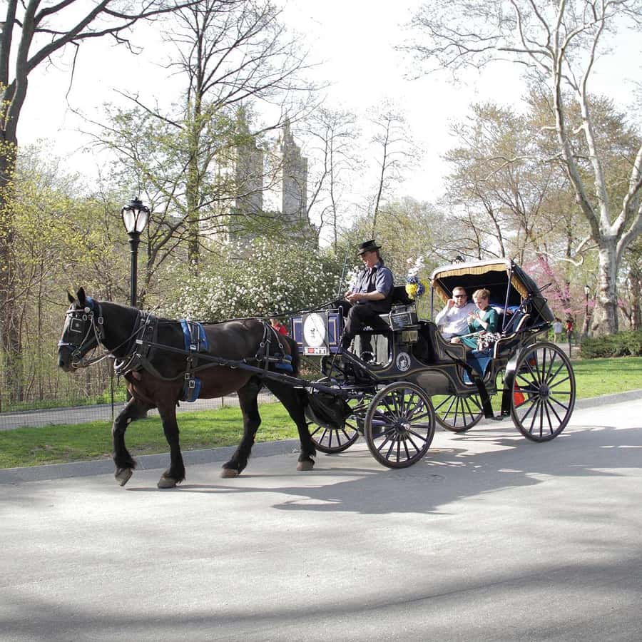 New York City: Central Park Horse Carriage 25-min Ride - Wollman Rink and the first Central Park views