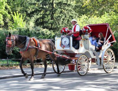 Central Park Horse Carriage 25-min Ride