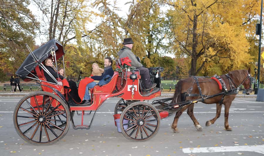 New York City: Central Park Horse Carriage 25-min Ride - The Dairy photo stop