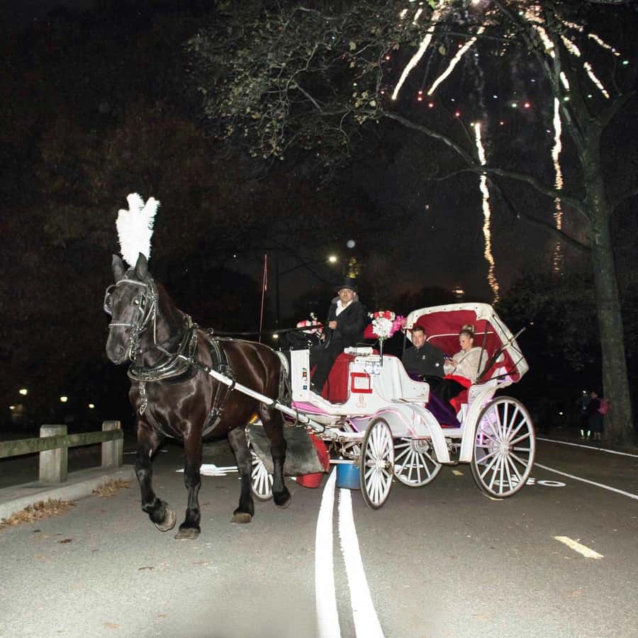 New York City: Central Park Horse Carriage 25-min Ride - Central Park Zoo, The Pond, and the Plaza Hotel
