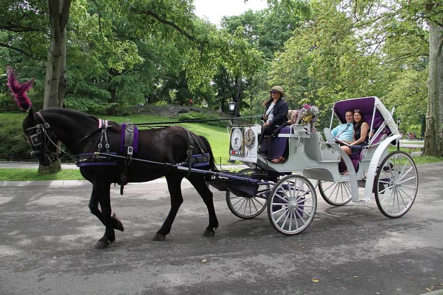 New York City: Central Park Horse Carriage 25-min Ride - What the 25-minute timing really means