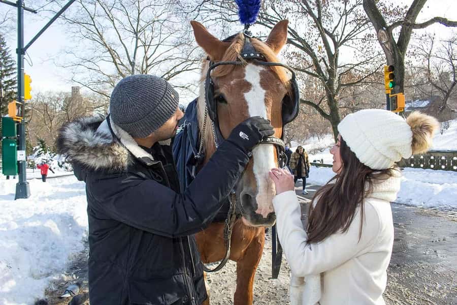 New York City: Central Park Horse Carriage 25-min Ride - Weather, comfort, and what to bring