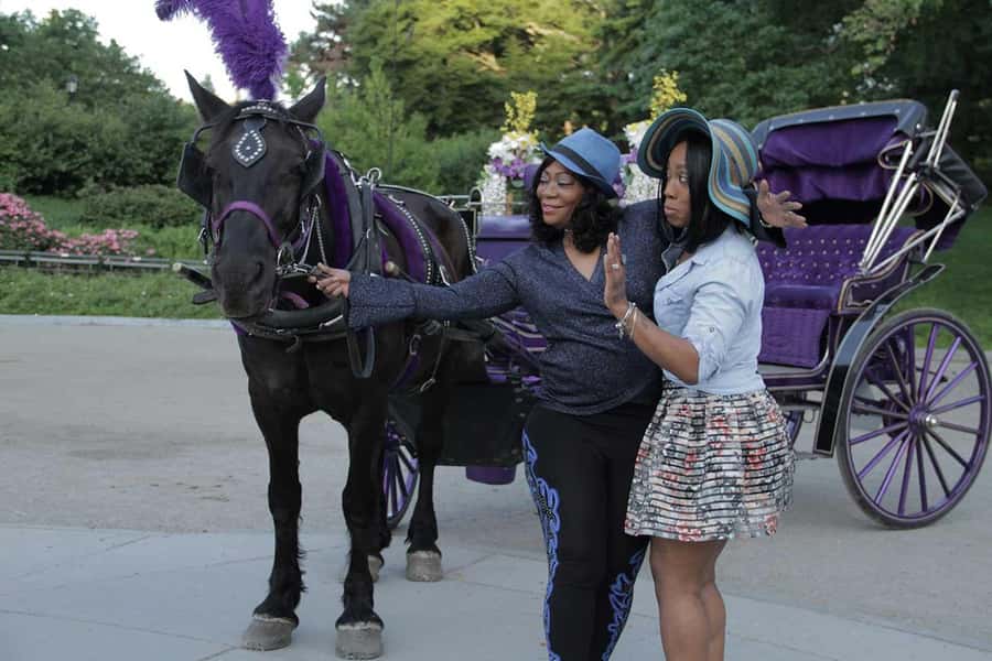 New York City: Central Park Horse Carriage 25-min Ride - Who will get the most from this ride