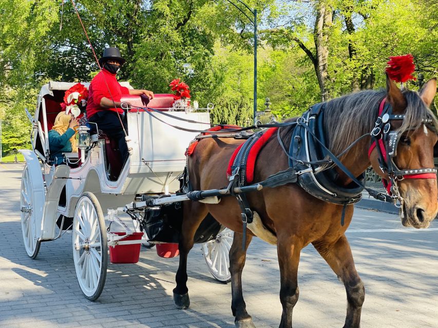 New York City: Central Park Private Horse and Carriage Tour - Key points to know before you book