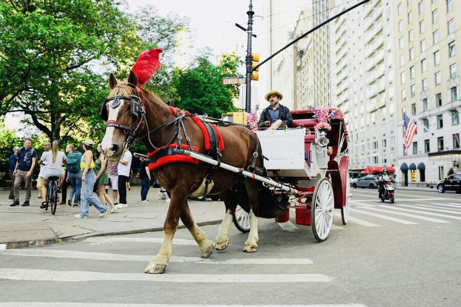 New York City: Central Park Private Horse and Carriage Tour - The south end of Central Park and Fifth Avenue sights