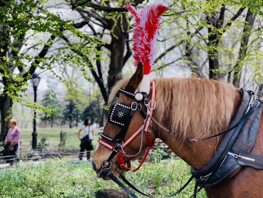 New York City: Central Park Private Horse and Carriage Tour - Bethesda Fountain and Terrace photo stops