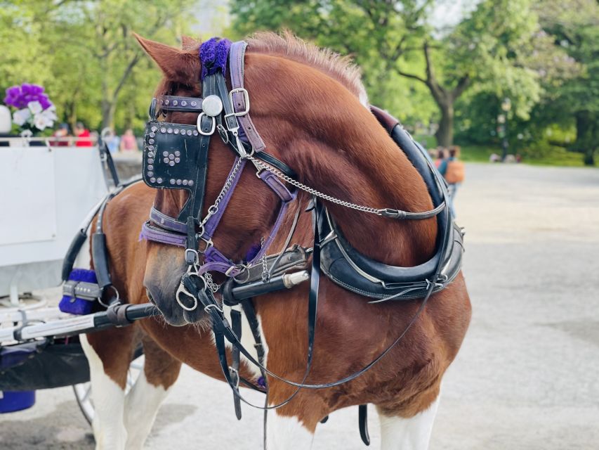 New York City: Central Park Private Horse and Carriage Tour - The San Remo and the Upper West Side