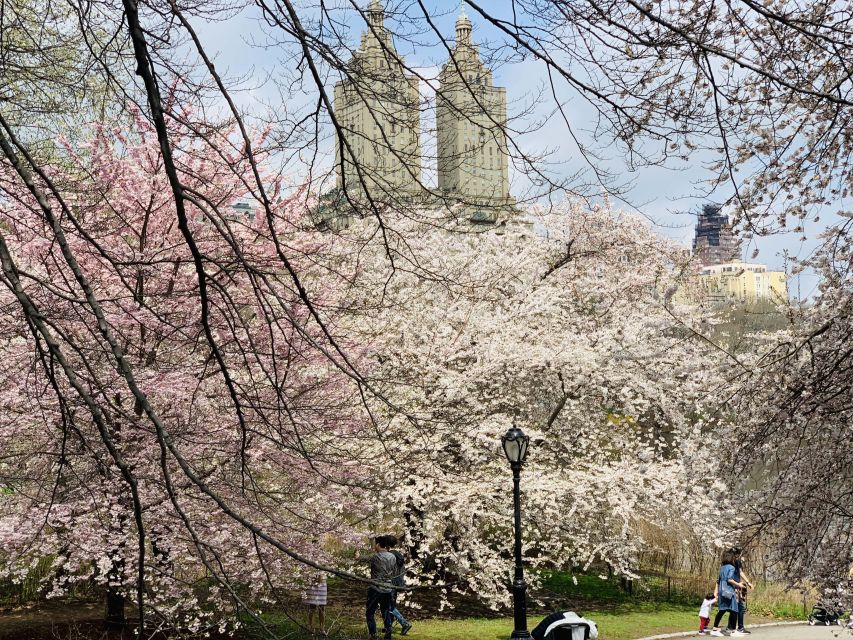 New York City: Central Park Private Horse and Carriage Tour - Strawberry Fields and the park’s quieter mood