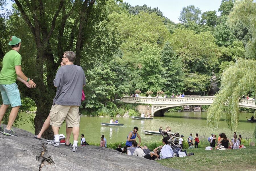 New York City: Central Park Private Pedicab Tour - Key points to know before booking