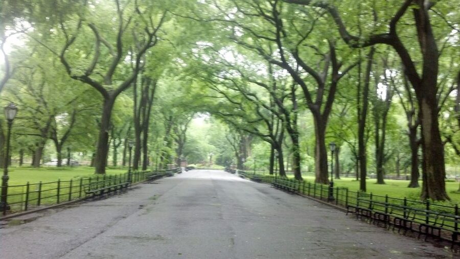 New York City: Central Park Walking Tour - Key points to know before you book