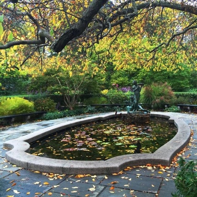 New York City : Central Park Walking Tour With A Guide - Planning your two-hour walk