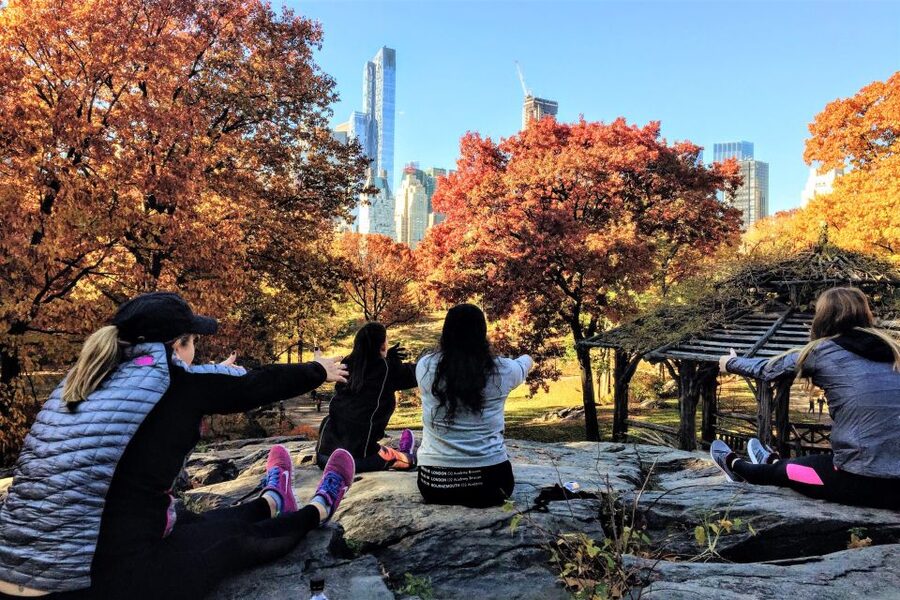 New York City: Central Park Yoga and Walking Tour - Bethesda Fountain and the park’s grand center