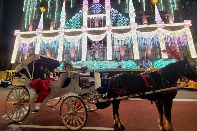 New York City Christmas Lights Private Horse Carriage Ride - A slow start beneath Central Park’s winter trees
