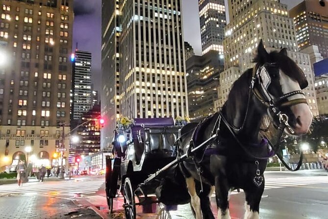 New York City Christmas Lights Private Horse Carriage Ride - The guides add much of the tour’s value