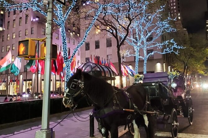 New York City Christmas Lights Private Horse Carriage Ride - Blankets, music, and the horse make it feel personal