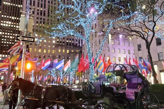New York City Christmas Lights Private Horse Carriage Ride - Is $220 a fair price for a private carriage?