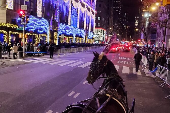 New York City Christmas Lights Private Horse Carriage Ride - Who will enjoy this most