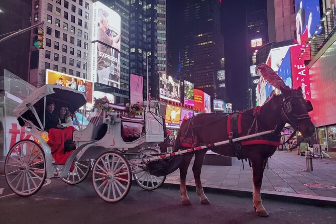 New York City Christmas Lights Private Horse Carriage Ride - Practical details before you book