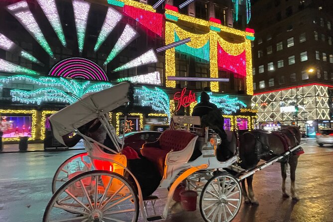 New York City Christmas Lights Private Horse Carriage Ride - Window displays are part of the route, not an afterthought