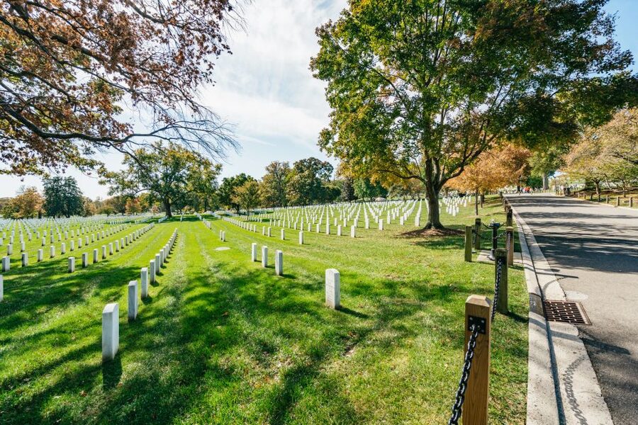New York City: Full-Day Washington DC City Highlights Tour - What to bring and how to handle the day