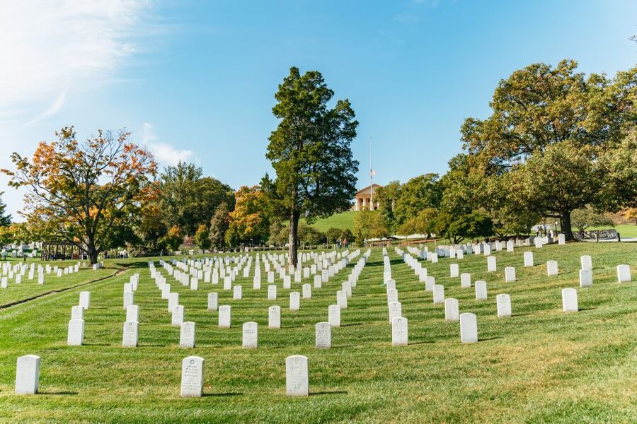 New York City: Full-Day Washington DC City Highlights Tour - Capitol Hill, the Senate, and the White House
