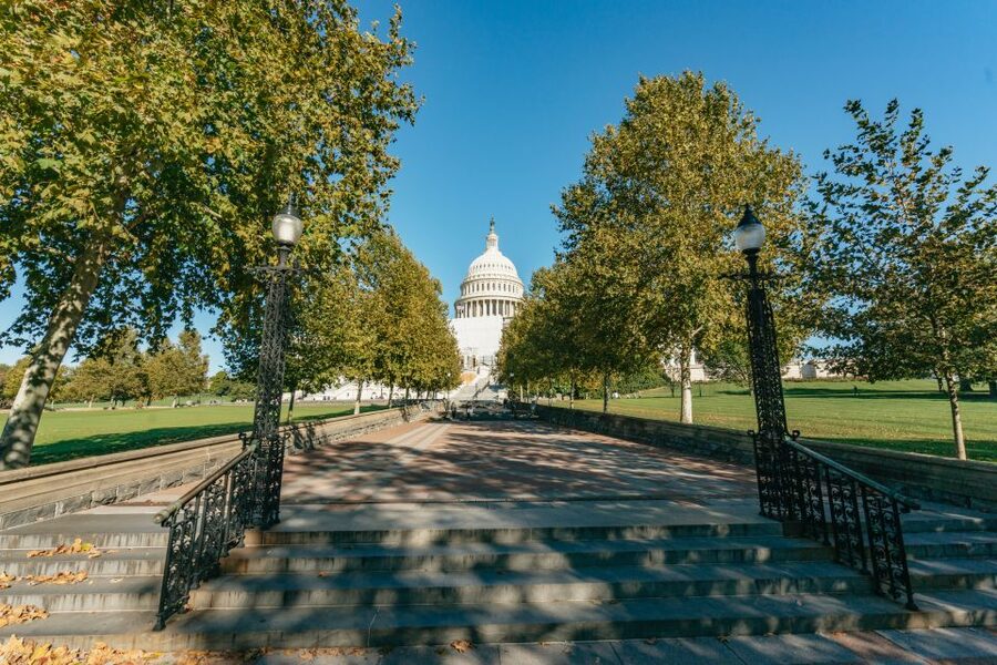 New York City: Full-Day Washington DC City Highlights Tour - Guides, languages, and group rhythm